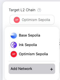 Custom Network - Add Network Button